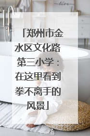 郑州市金水区文化路第三小学：在这里看到拳不离手的风景